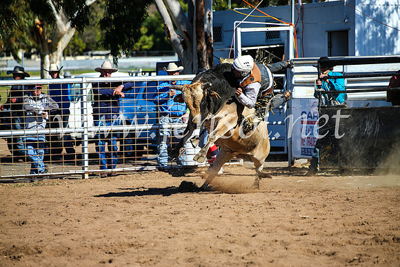 CoonambleRodeoCampdraftMon_7497