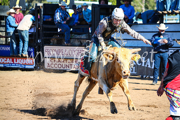 CoonambleRodeoCampdraftMon_6961