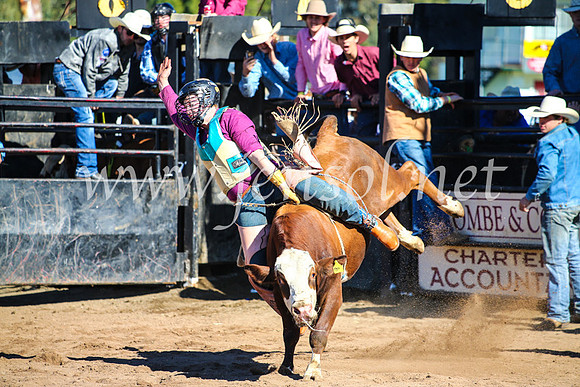 CoonambleRodeoCampdraftMon_7050