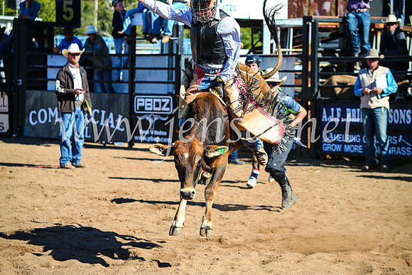 CoonambleRodeoCampdraftMon_7308