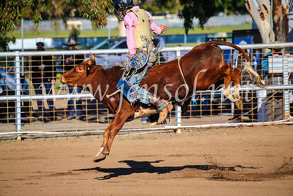 CoonambleRodeoCampdraftMon_6302