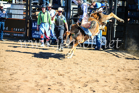 CoonambleRodeoCampdraftMon_7287