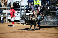 CoonambleRodeoCampdraftMon_6308