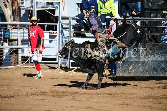CoonambleRodeoCampdraftMon_6308