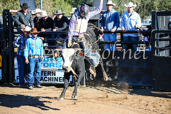 CoonambleRodeoCampdraftMon_6419