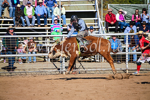 CoonambleRodeoCampdraftMon_7069