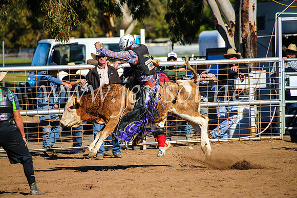 CoonambleRodeoCampdraftMon_7102