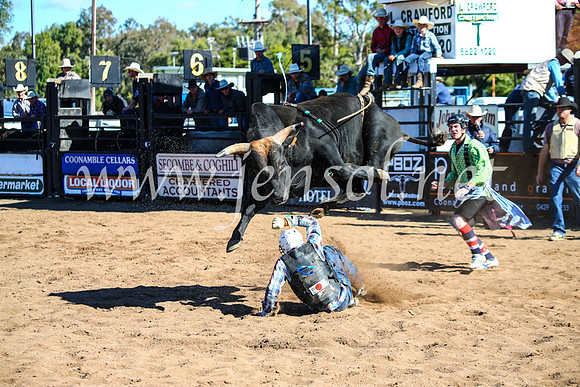 CoonambleRodeoCampdraftMon_7451