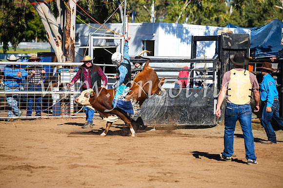 CoonambleRodeoCampdraftMon_6509