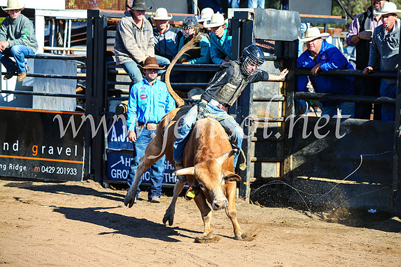 CoonambleRodeoCampdraftMon_6429