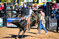 CoonambleRodeoCampdraftMon_6360