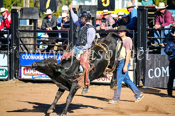 CoonambleRodeoCampdraftMon_6360