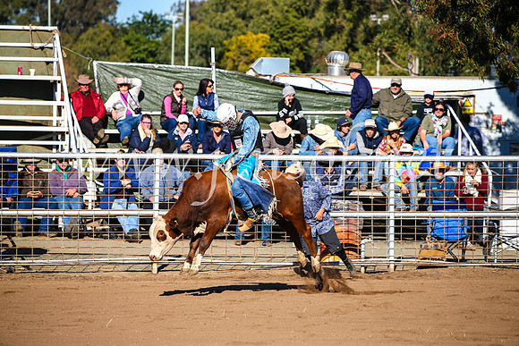 CoonambleRodeoCampdraftMon_6518