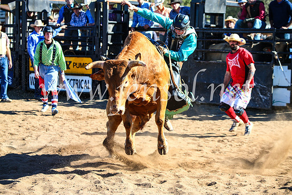 CoonambleRodeoCampdraftMon_7789