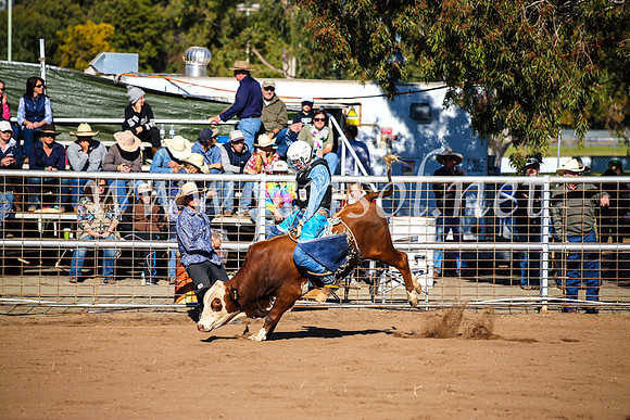 CoonambleRodeoCampdraftMon_6523