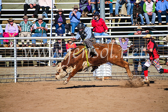 CoonambleRodeoCampdraftMon_7090