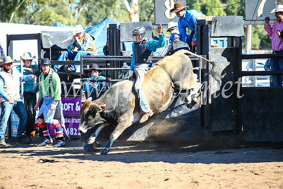 CoonambleRodeoCampdraftMon_7855