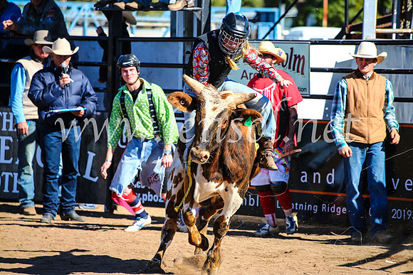 CoonambleRodeoCampdraftMon_7124