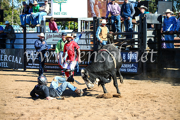 CoonambleRodeoCampdraftMon_7331