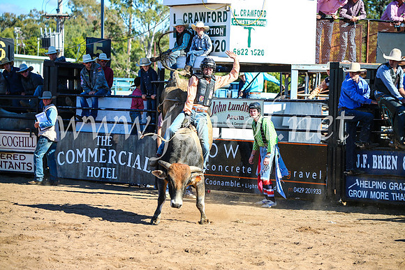 CoonambleRodeoCampdraftMon_7425