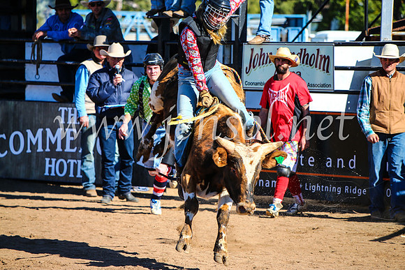 CoonambleRodeoCampdraftMon_7136
