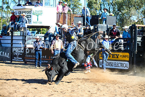 CoonambleRodeoCampdraftMon_7444