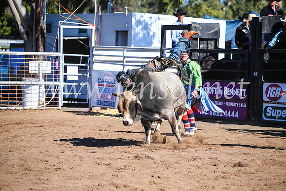 CoonambleRodeoCampdraftMon_7556