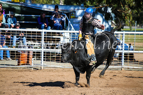 CoonambleRodeoCampdraftMon_7930