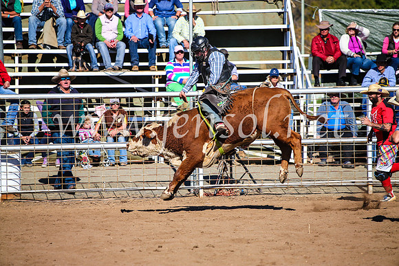CoonambleRodeoCampdraftMon_7072