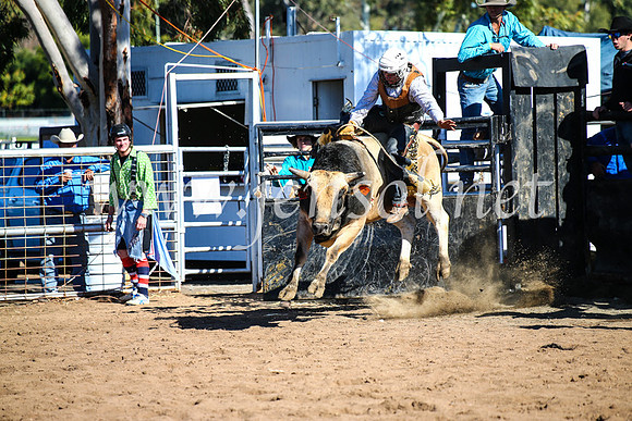 CoonambleRodeoCampdraftMon_7489