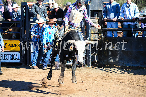 CoonambleRodeoCampdraftMon_6425