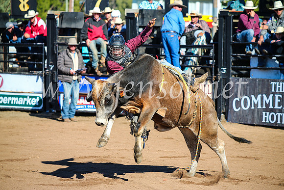 CoonambleRodeoCampdraftMon_6403