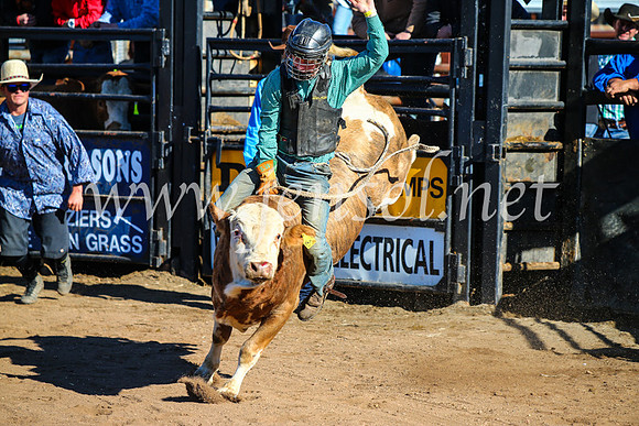 CoonambleRodeoCampdraftMon_6488