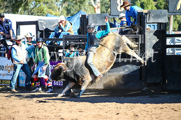 CoonambleRodeoCampdraftMon_7854