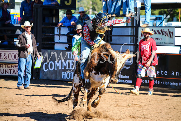CoonambleRodeoCampdraftMon_7126