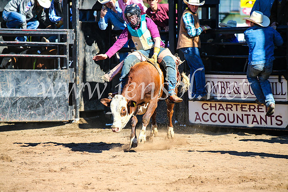 CoonambleRodeoCampdraftMon_7041