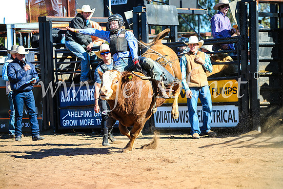 CoonambleRodeoCampdraftMon_6920