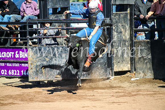 CoonambleRodeoCampdraftMon_6472