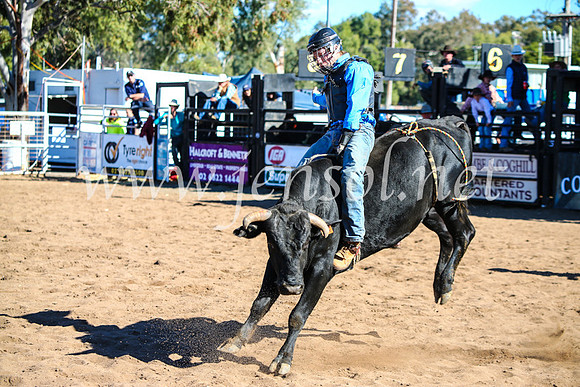 CoonambleRodeoCampdraftMon_7838