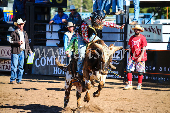 CoonambleRodeoCampdraftMon_7125