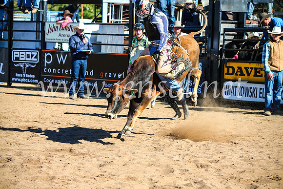 CoonambleRodeoCampdraftMon_7299
