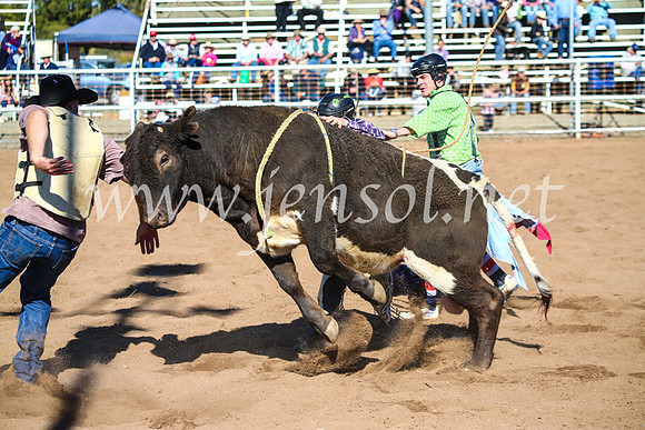 CoonambleRodeoCampdraftMon_7230
