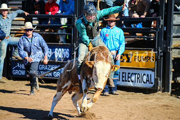 CoonambleRodeoCampdraftMon_6494