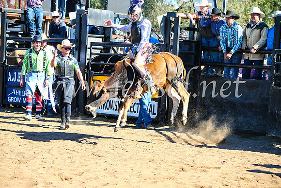 CoonambleRodeoCampdraftMon_7286