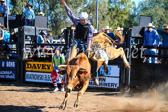 CoonambleRodeoCampdraftMon_7470