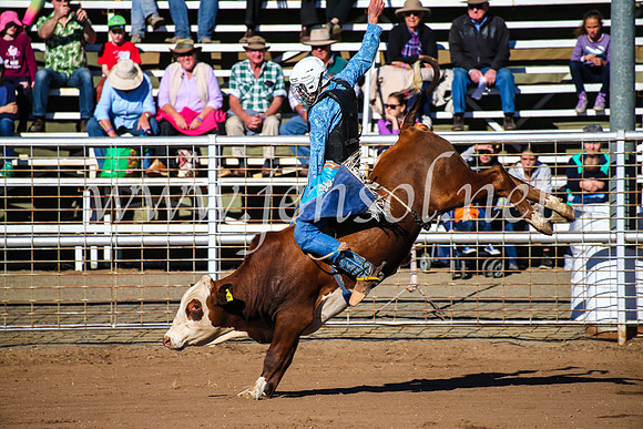 CoonambleRodeoCampdraftMon_6529