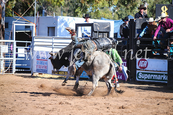 CoonambleRodeoCampdraftMon_7548