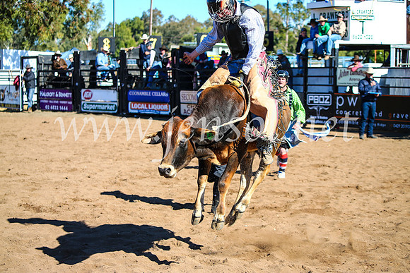 CoonambleRodeoCampdraftMon_7314