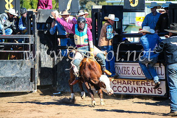 CoonambleRodeoCampdraftMon_7042