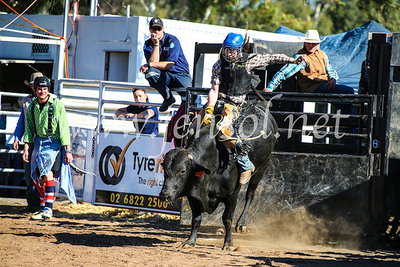 CoonambleRodeoCampdraftMon_7904